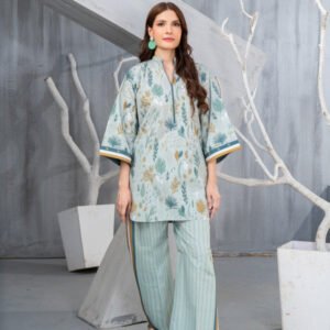 Poly lawn Kurta Set in Cloud blue